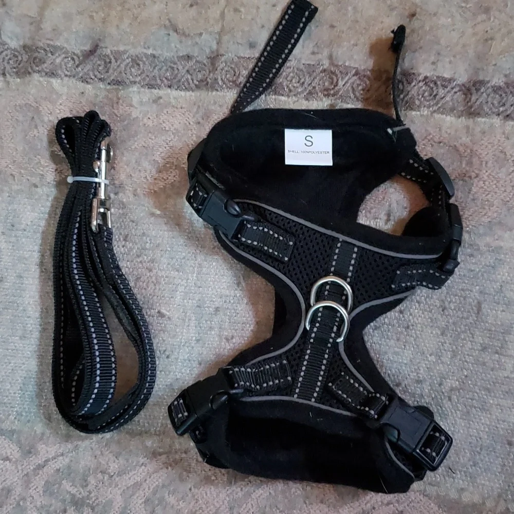 Small cat harness with matching leash NWOT
